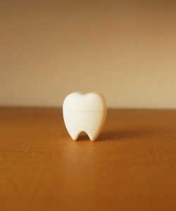 歯の置物の画像